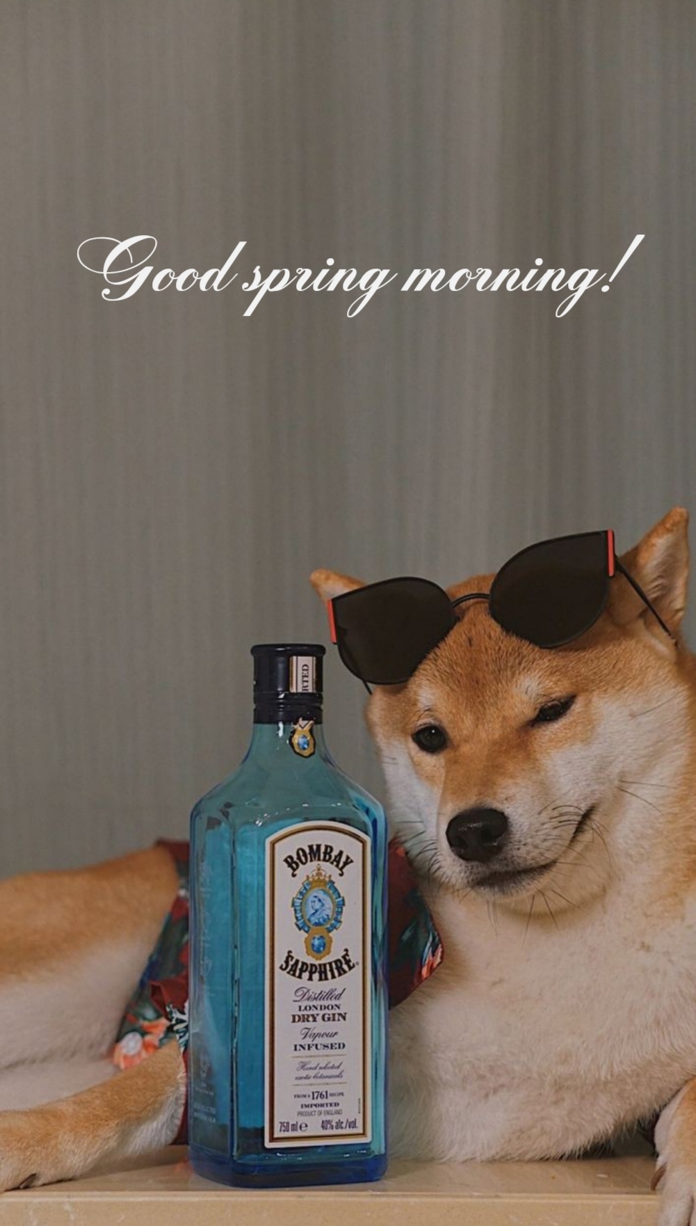 Pictures with names Good spring morning Pictures with names Good spring morning