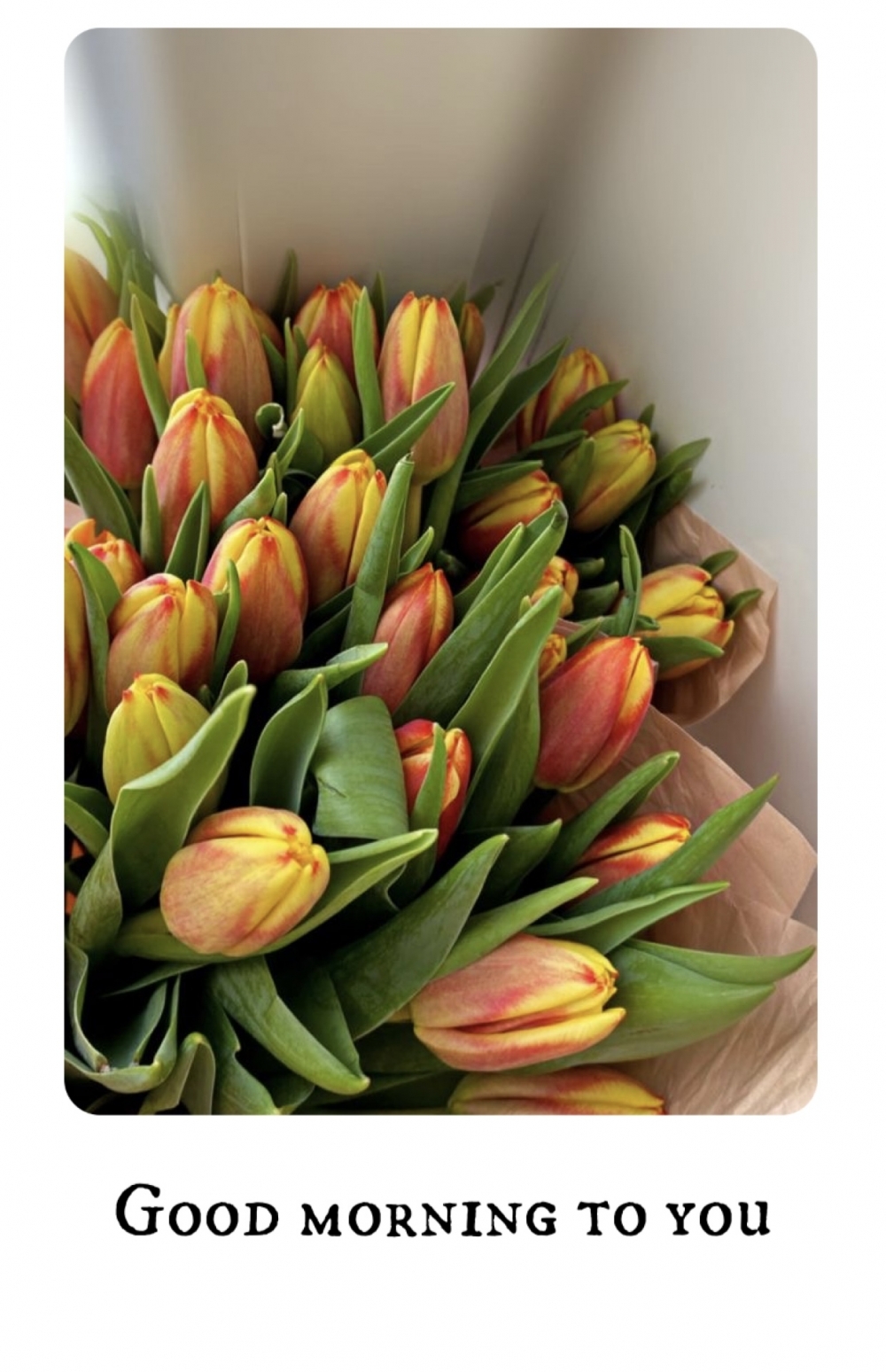 Pictures with names Good spring morning Pictures with names Good spring morning