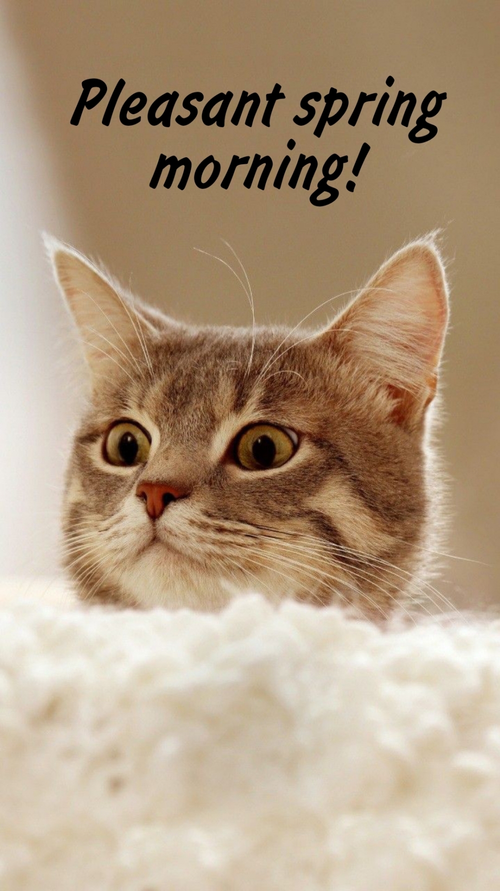 Pictures with names Good spring morning Pictures with names Good spring morning