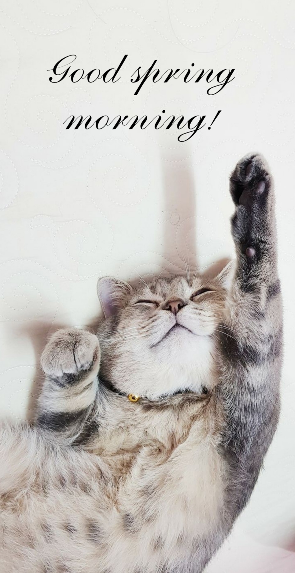 Pictures with names Good spring morning Pictures with names Good spring morning