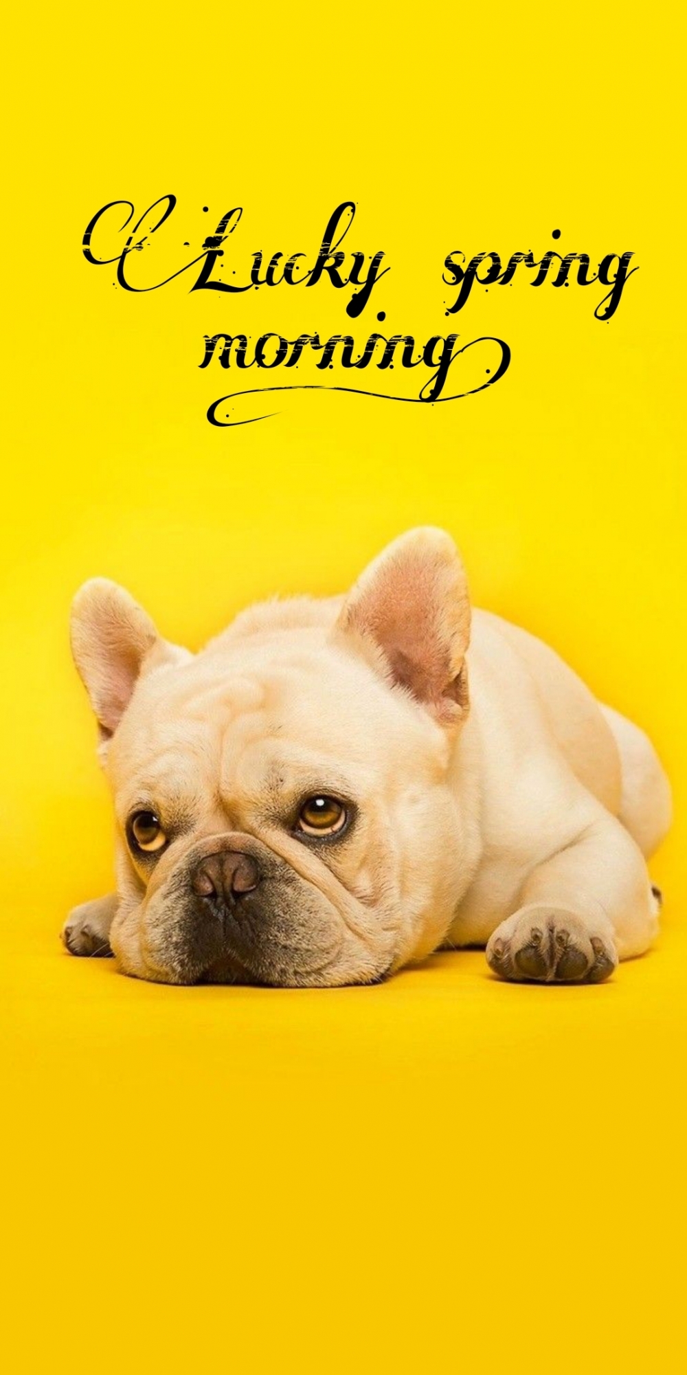 Pictures with names Good spring morning Pictures with names Good spring morning