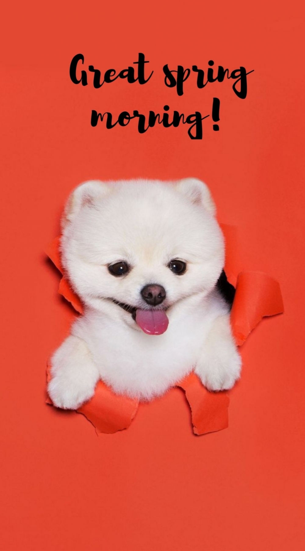 Pictures with names Good spring morning Pictures with names Good spring morning