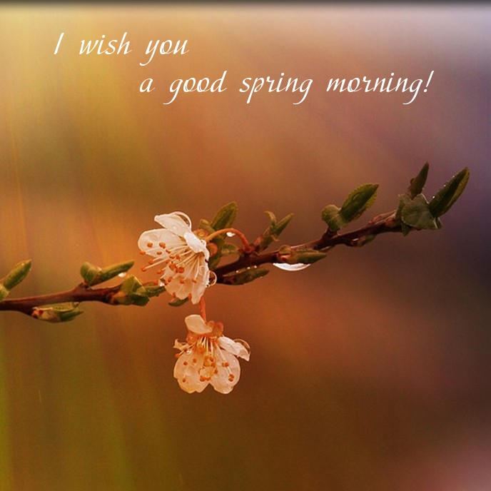 Pictures with names Good spring morning Pictures with names Good spring morning