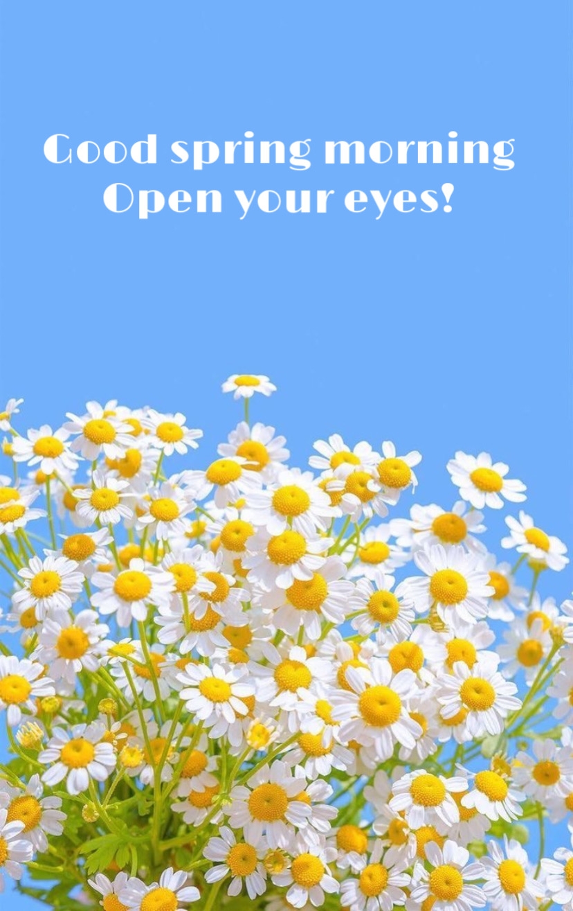 Pictures with names Good spring morning Pictures with names Good spring morning