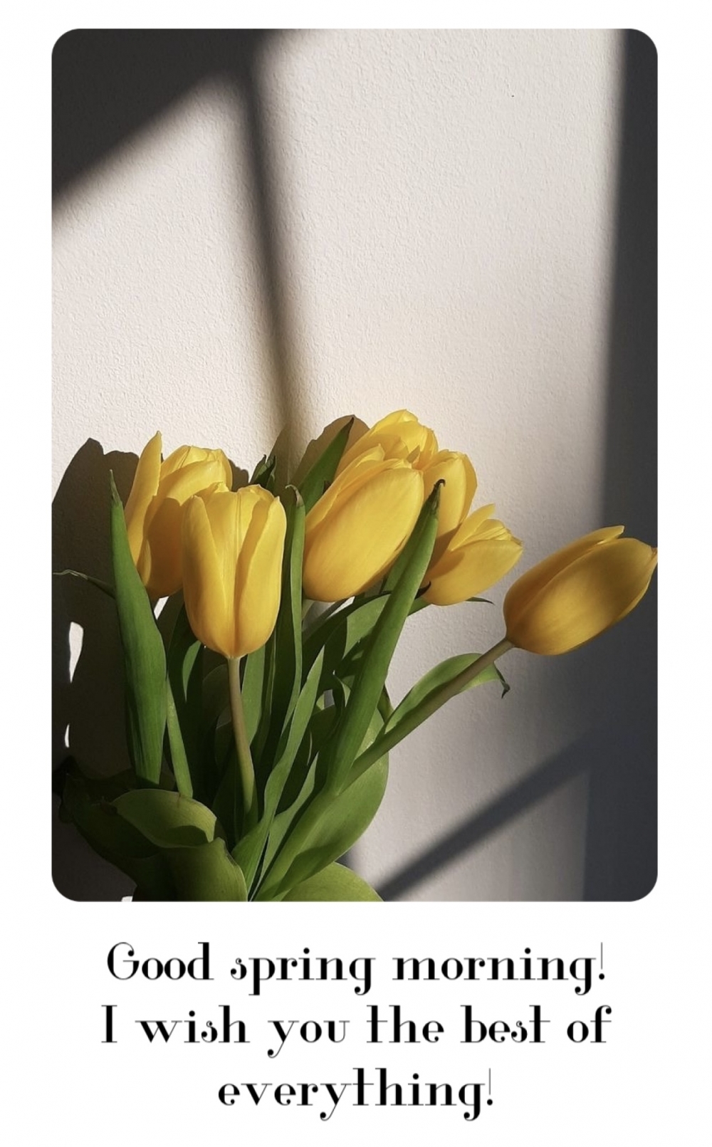 Pictures with names Good spring morning Pictures with names Good spring morning