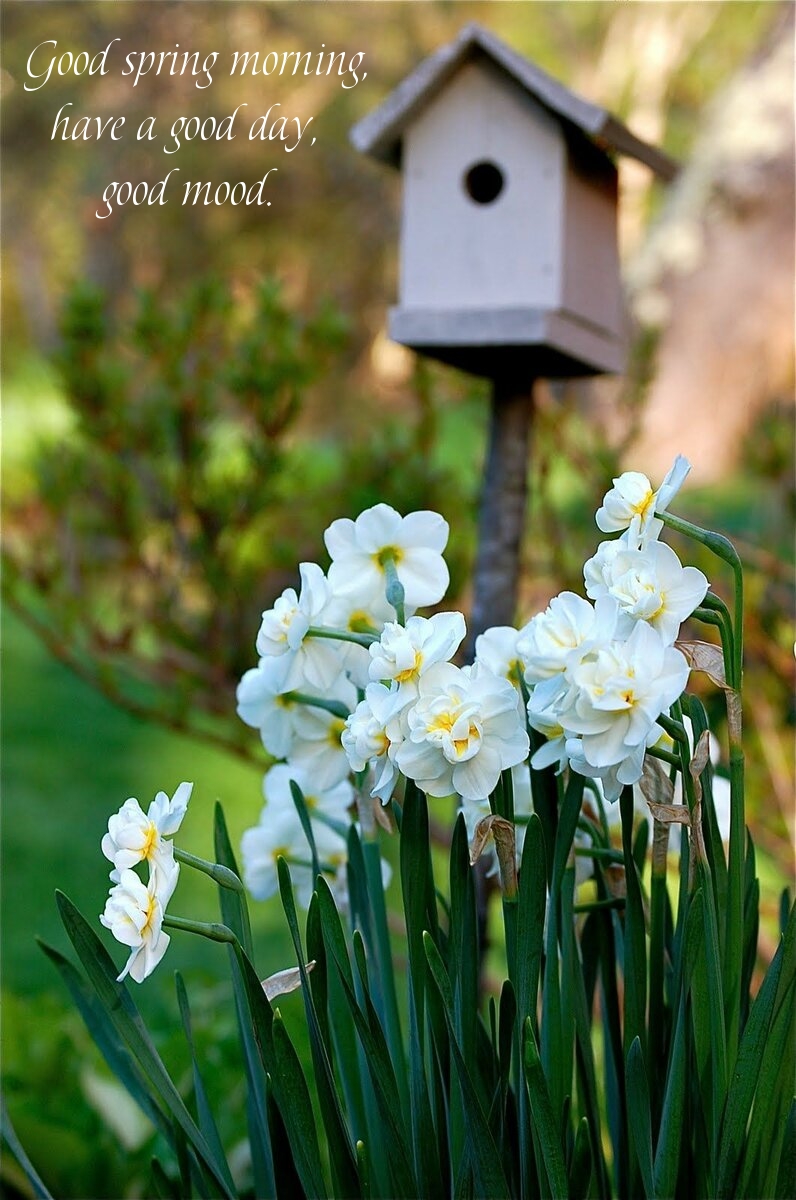 Pictures with names Good spring morning Pictures with names Good spring morning