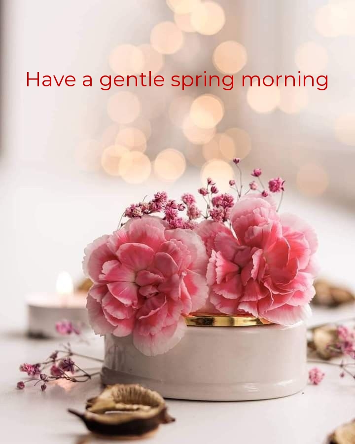 Pictures with names Good spring morning Pictures with names Good spring morning