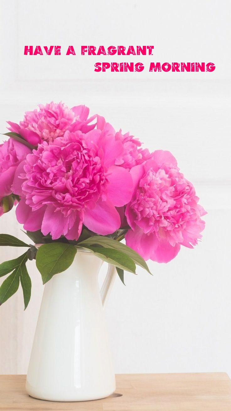 Pictures with names Good spring morning Pictures with names Good spring morning