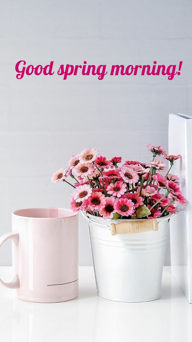 Pictures with names Good spring morning Pictures with names Good spring morning