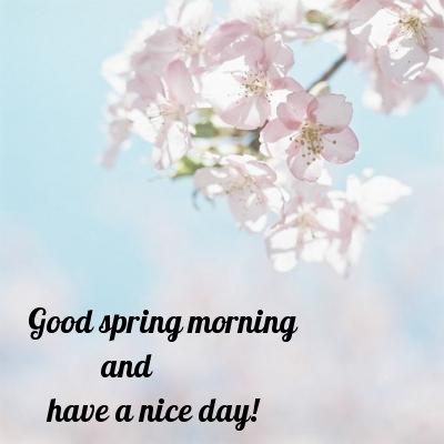 Pictures with names Good spring morning Pictures with names Good spring morning