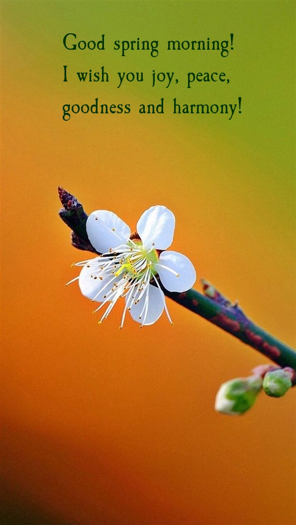 Pictures with names Good spring morning Pictures with names Good spring morning