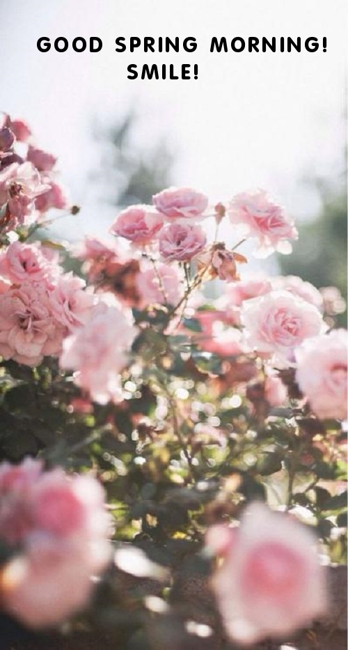 Pictures with names Good spring morning Pictures with names Good spring morning