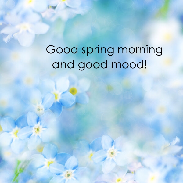 Pictures with names Good spring morning Pictures with names Good spring morning