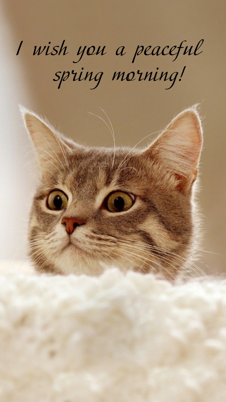 Pictures with names Good spring morning Pictures with names Good spring morning