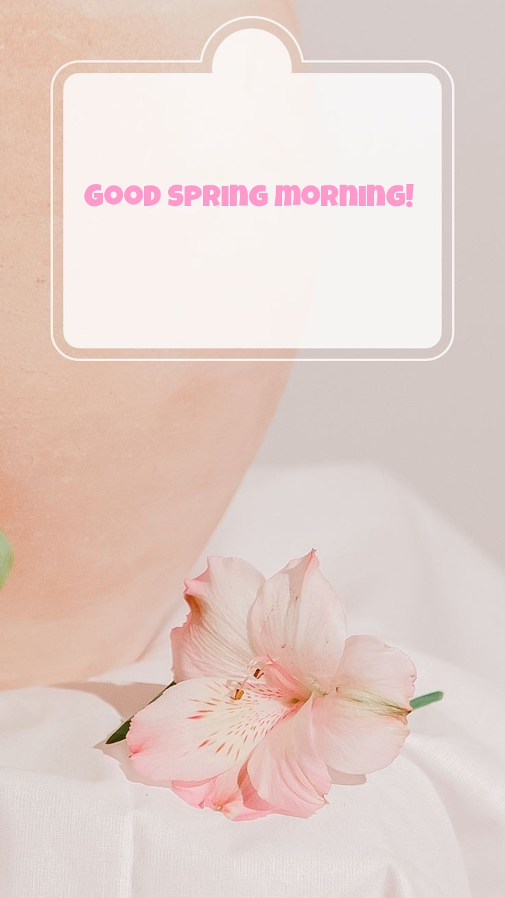 Pictures with names Good spring morning Pictures with names Good spring morning