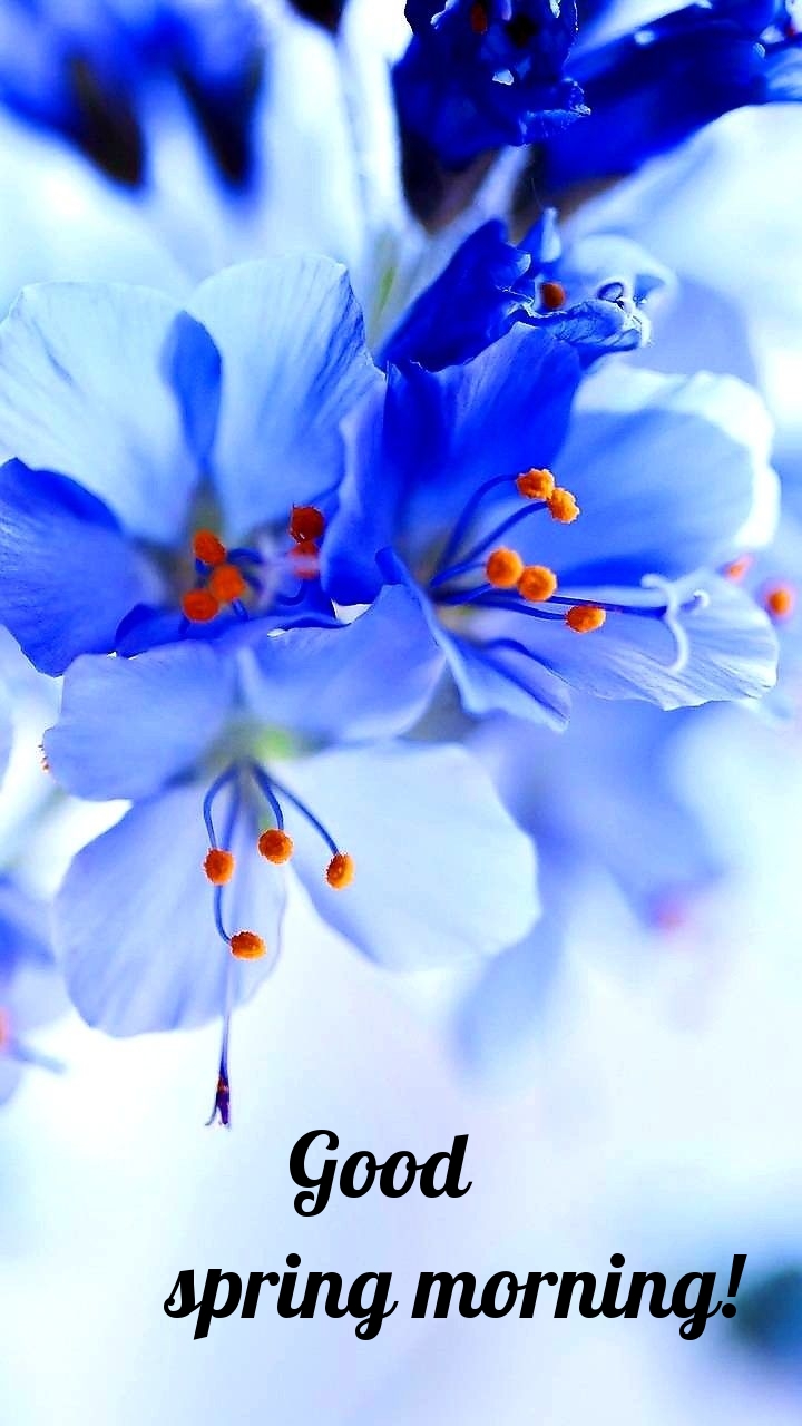 Pictures with names Good spring morning Pictures with names Good spring morning