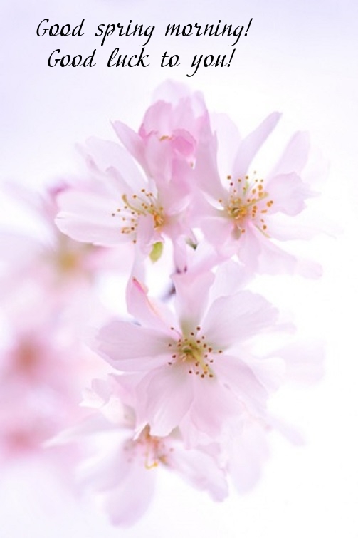 Pictures with names Good spring morning Pictures with names Good spring morning