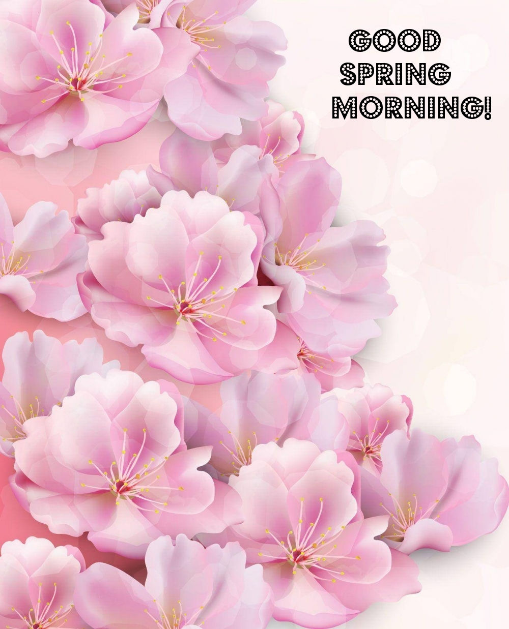 Pictures with names Good spring morning Pictures with names Good spring morning