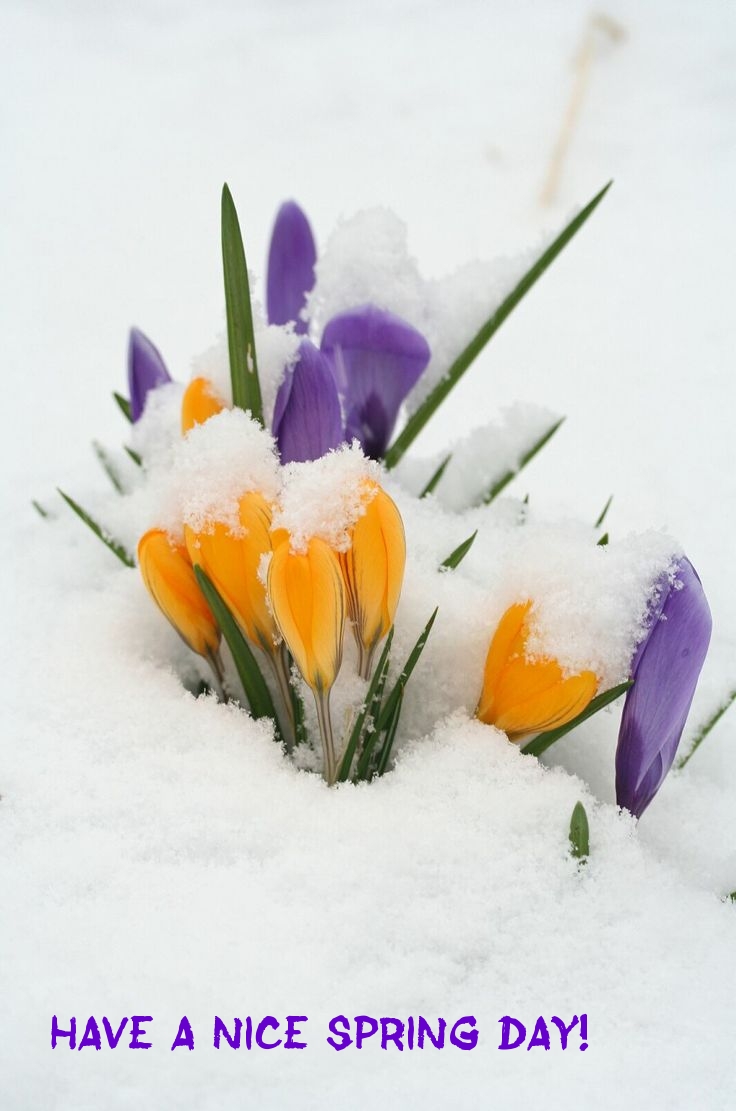 Pictures with names Good spring day Pictures with names Good spring day