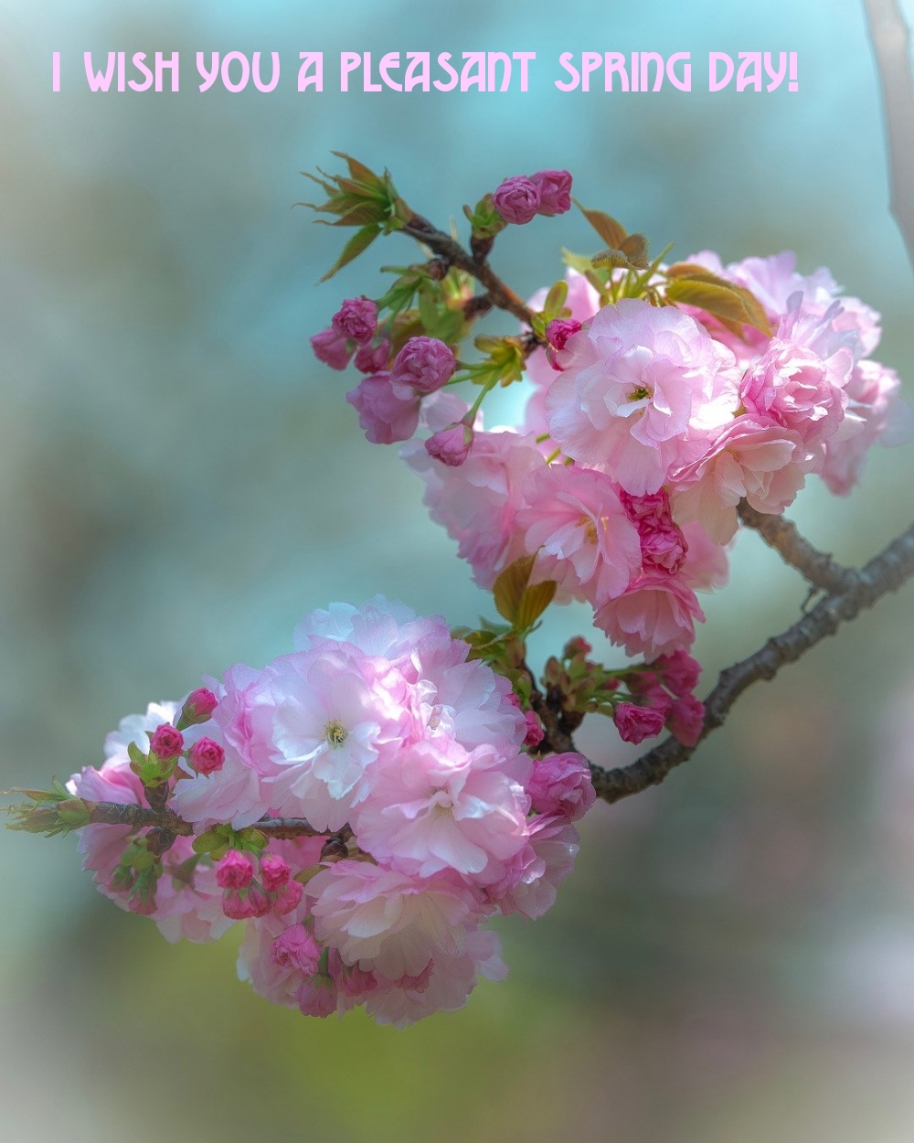 Pictures with names Good spring day Pictures with names Good spring day