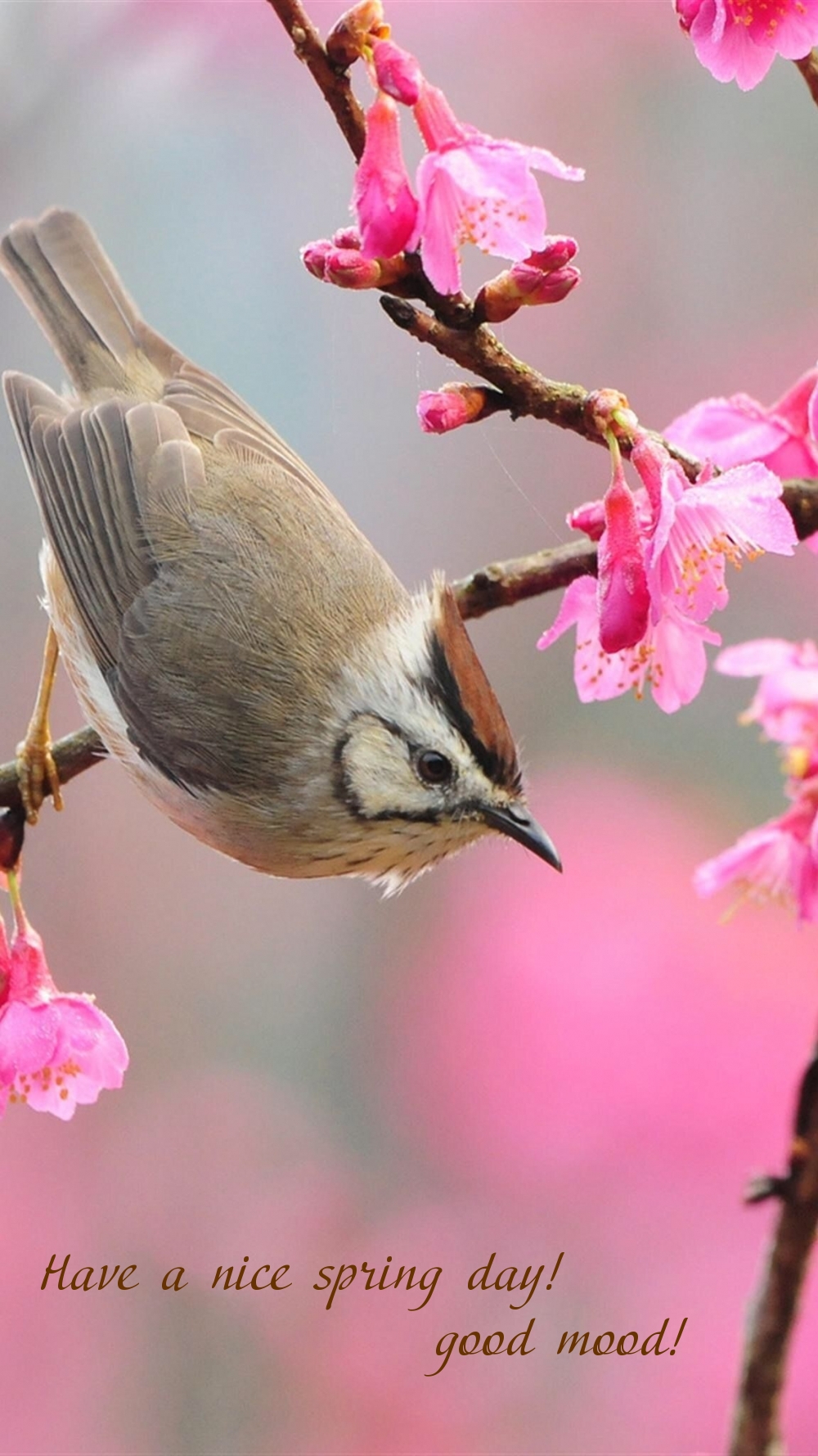 Pictures with names Good spring day Pictures with names Good spring day