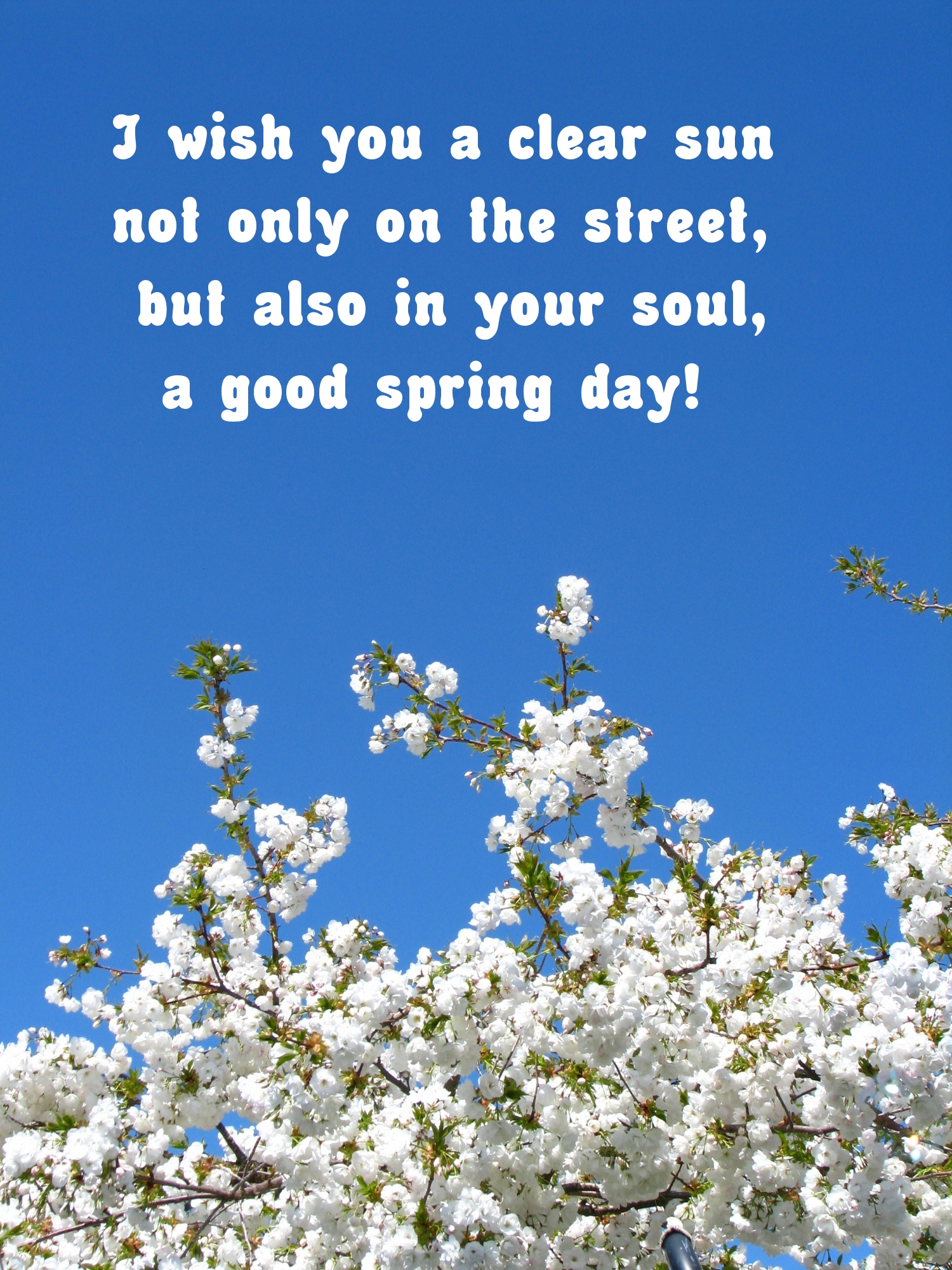 Pictures with names Good spring day Pictures with names Good spring day