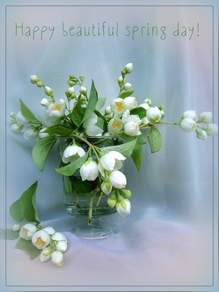 Pictures with names Good spring day Pictures with names Good spring day