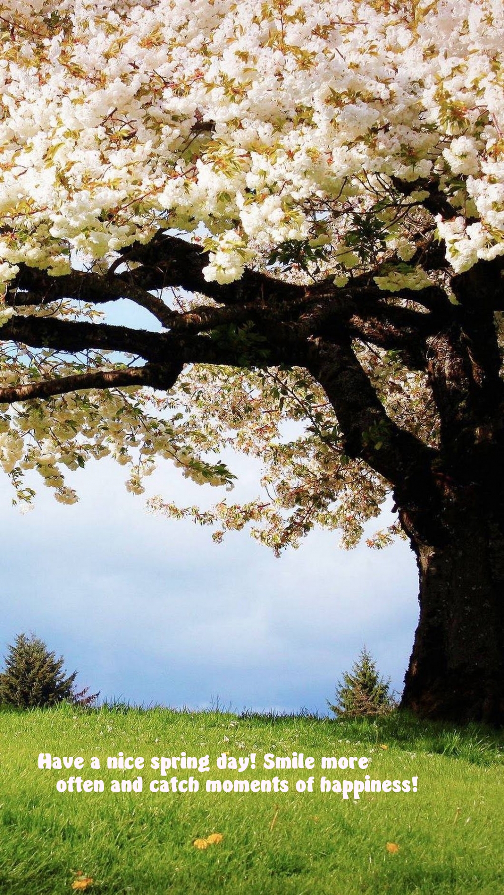 Pictures with names Good spring day Pictures with names Good spring day