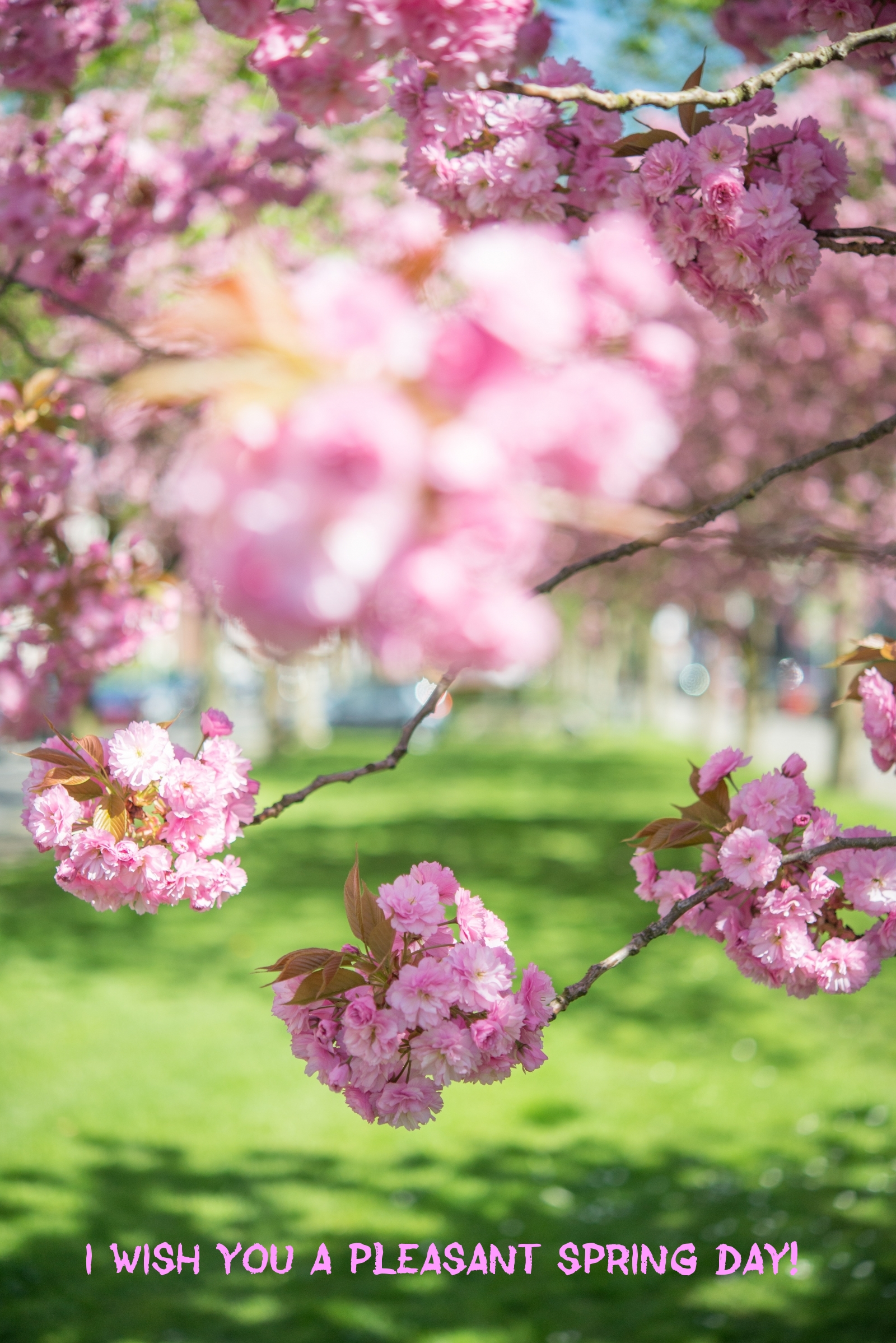 Pictures with names Good spring day Pictures with names Good spring day