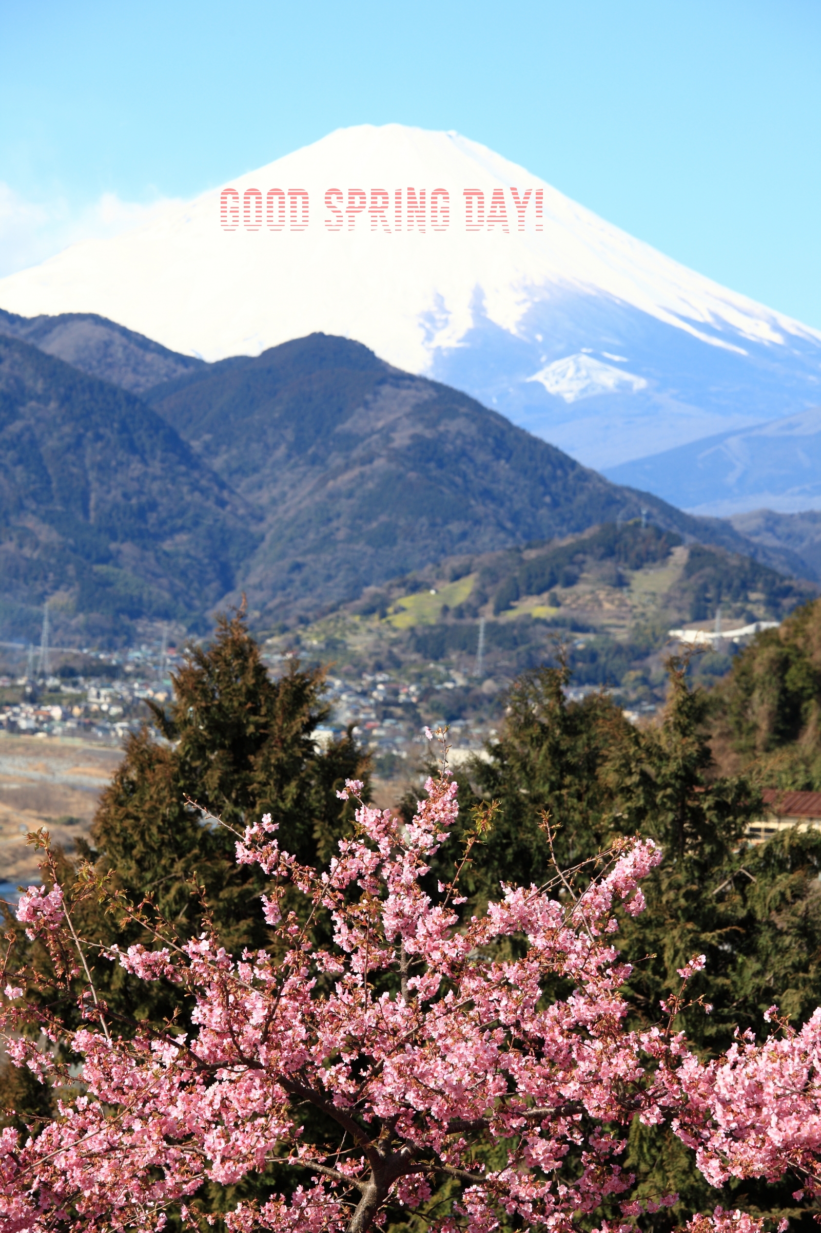 Pictures with names Good spring day Pictures with names Good spring day