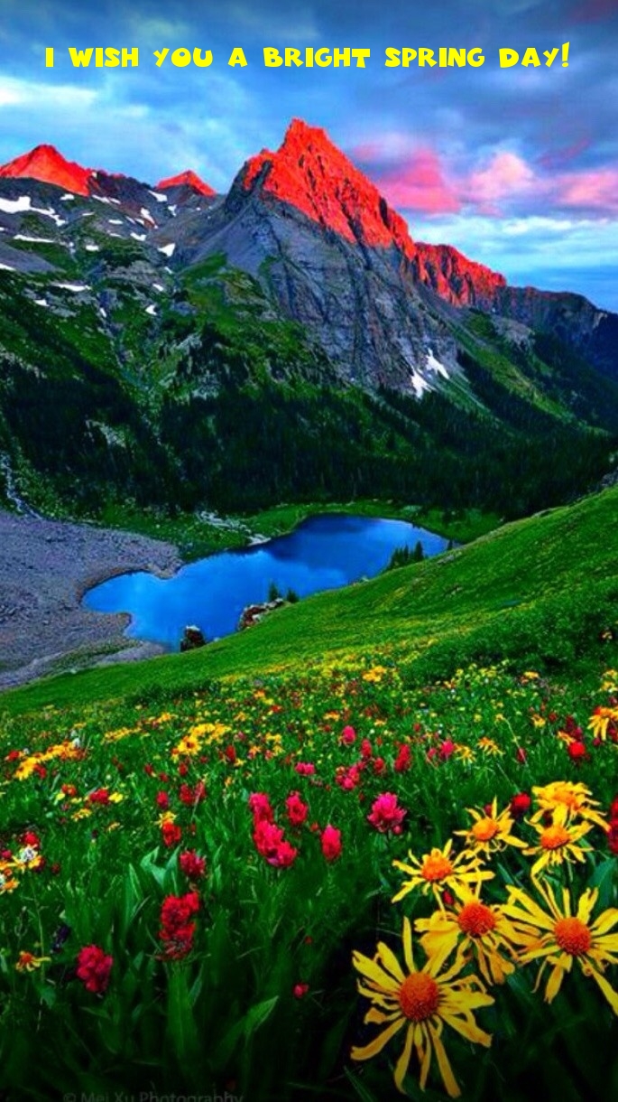 Pictures with names Good spring day Pictures with names Good spring day