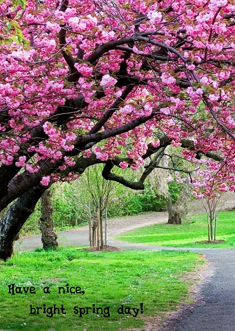 Pictures with names Good spring day Pictures with names Good spring day