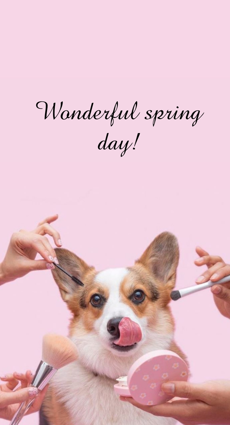 Pictures with names Good spring day Pictures with names Good spring day