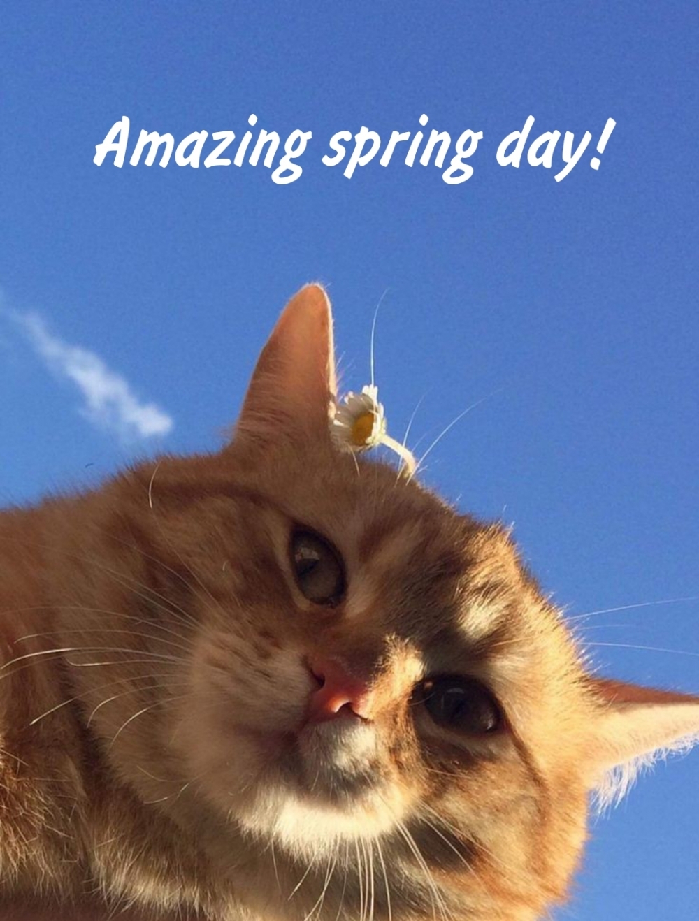 Pictures with names Good spring day Pictures with names Good spring day