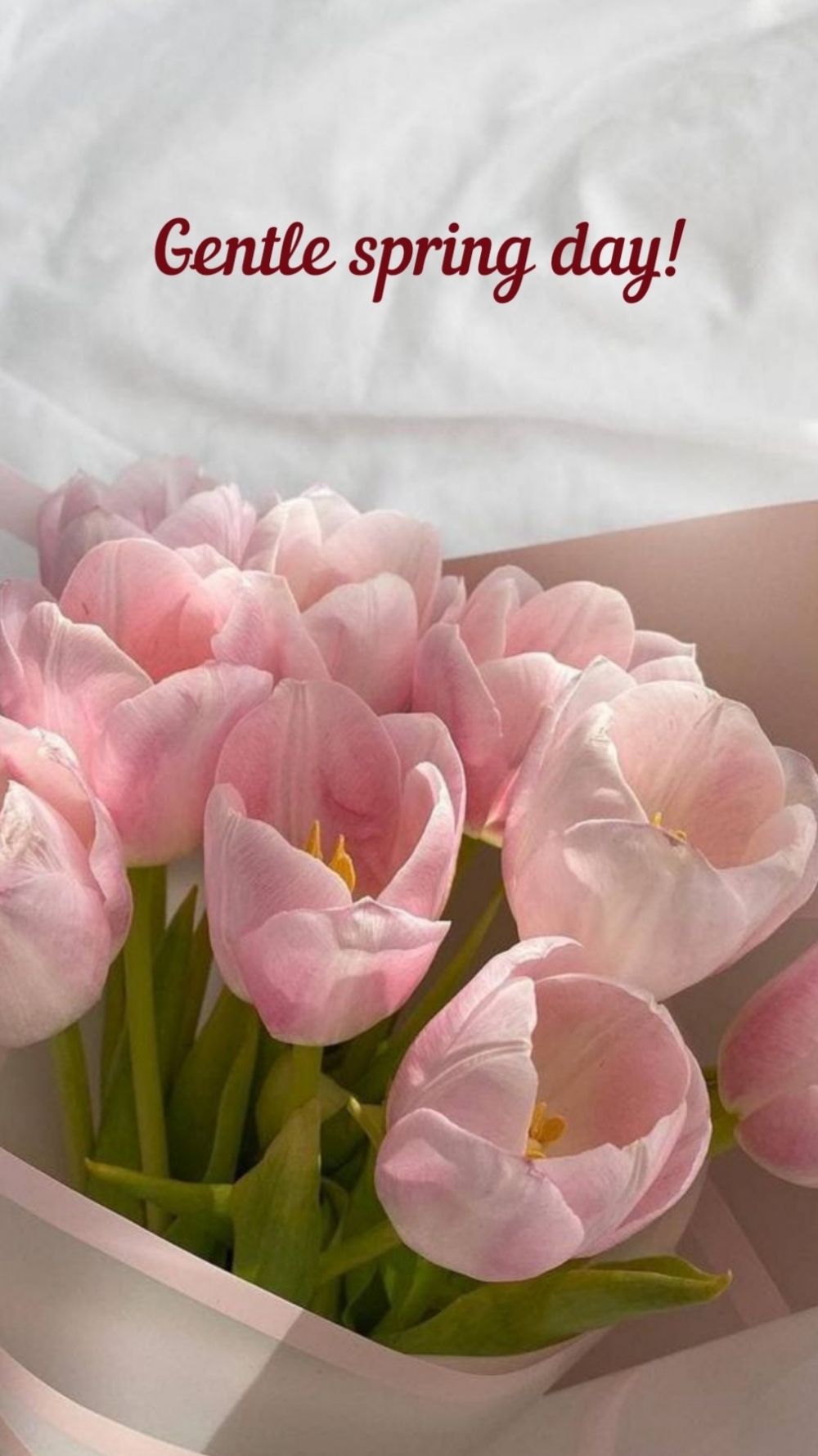 Pictures with names Good spring day Pictures with names Good spring day