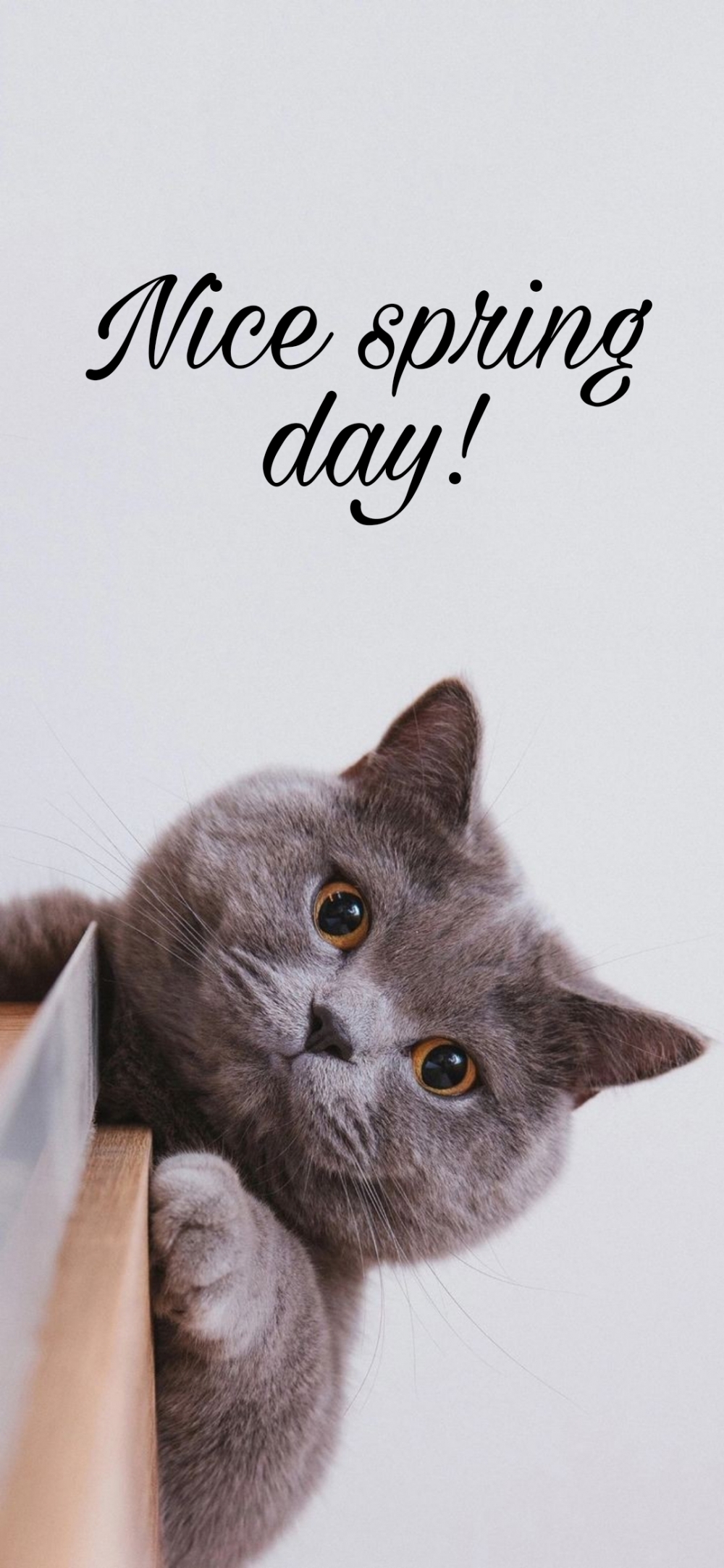 Pictures with names Good spring day Pictures with names Good spring day