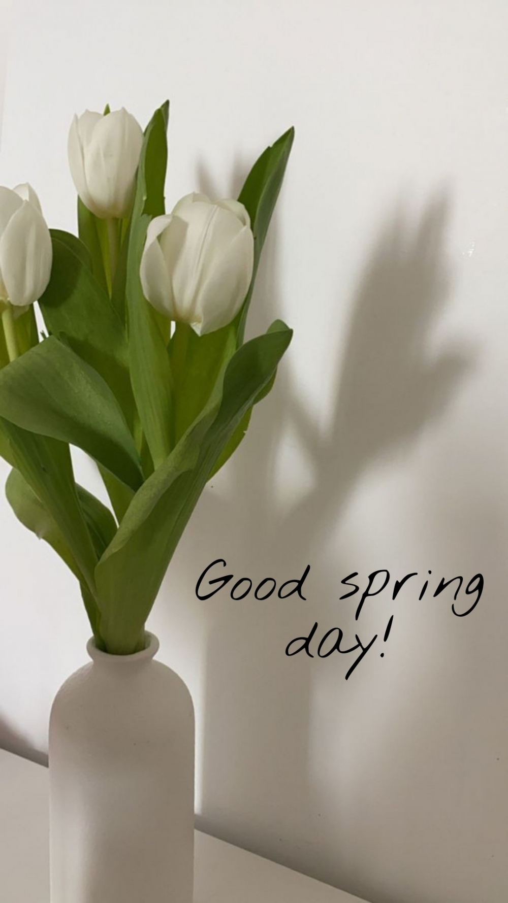 Pictures with names Good spring day Pictures with names Good spring day