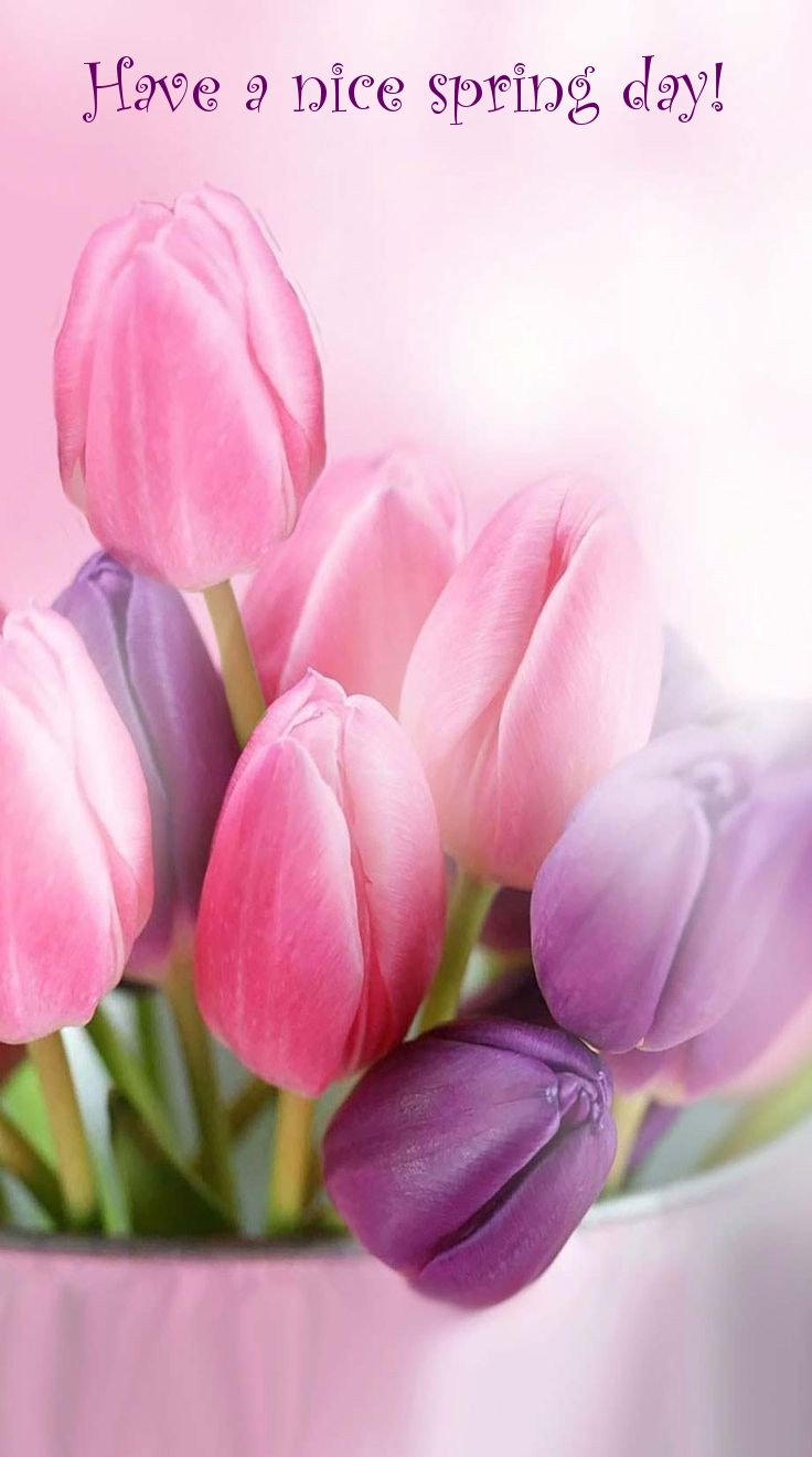 Pictures with names Good spring day Pictures with names Good spring day