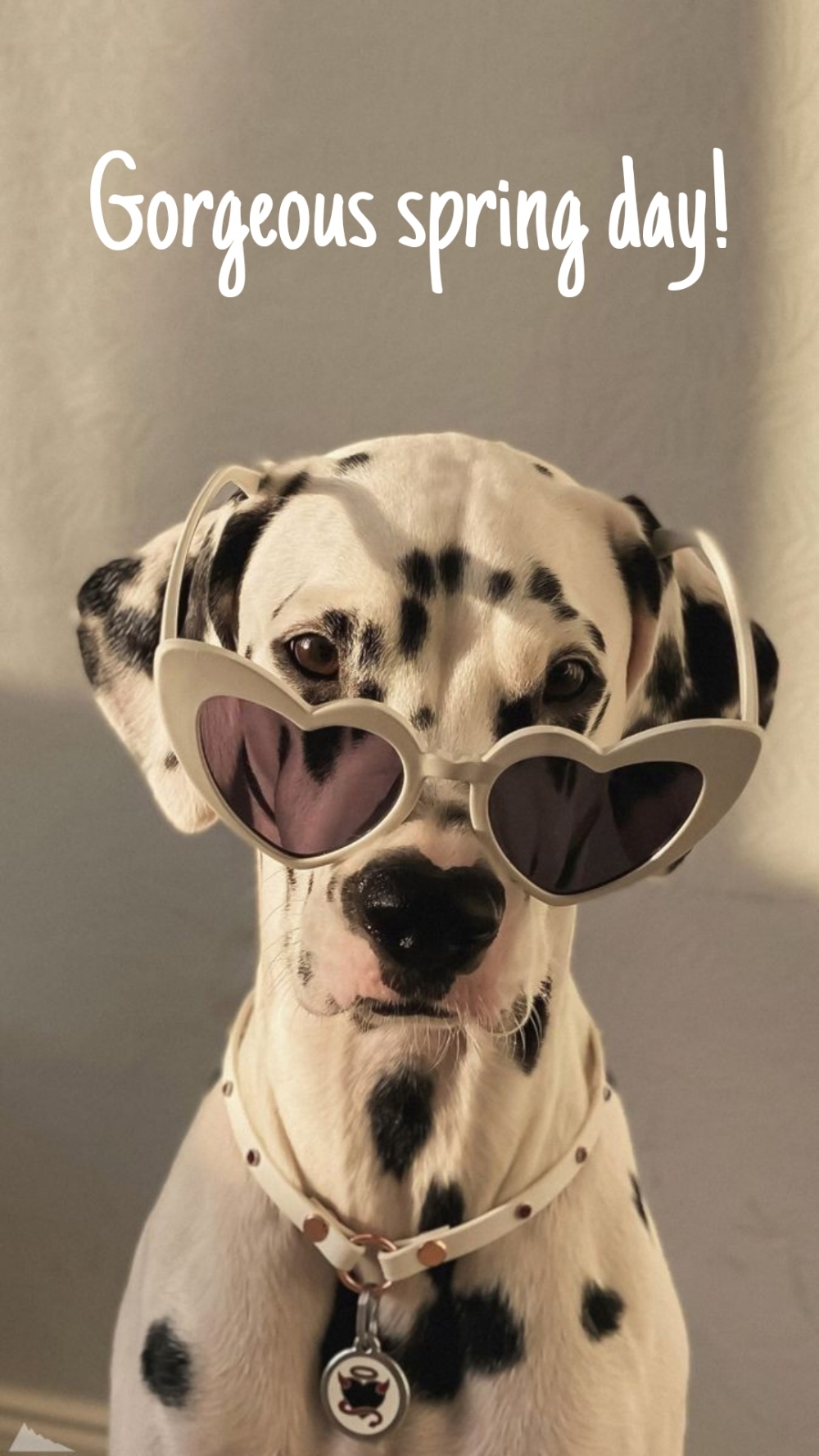 Pictures with names Good spring day Pictures with names Good spring day