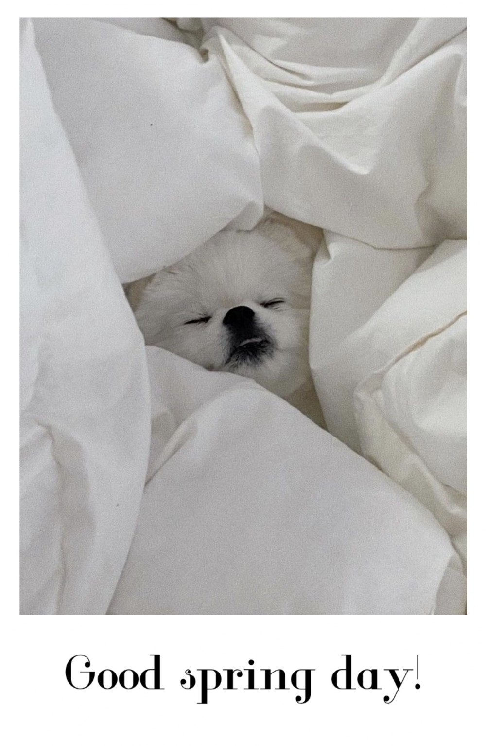 Pictures with names Good spring day Pictures with names Good spring day