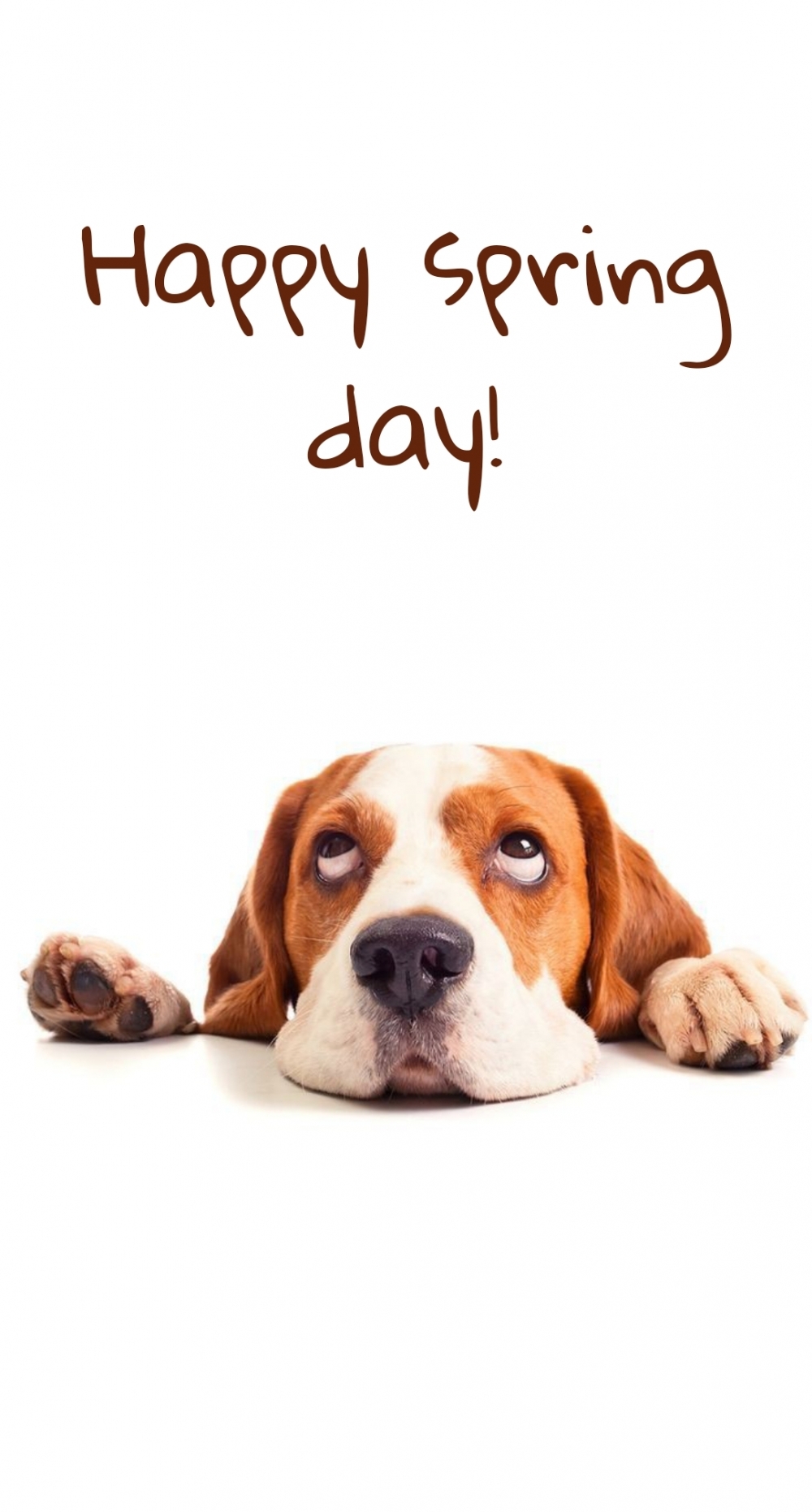 Pictures with names Good spring day Pictures with names Good spring day