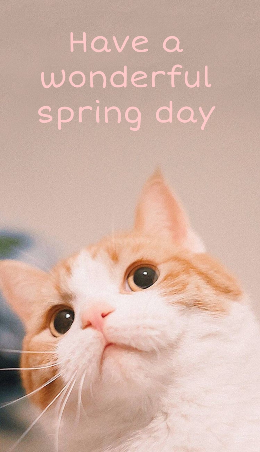 Pictures with names Good spring day Pictures with names Good spring day