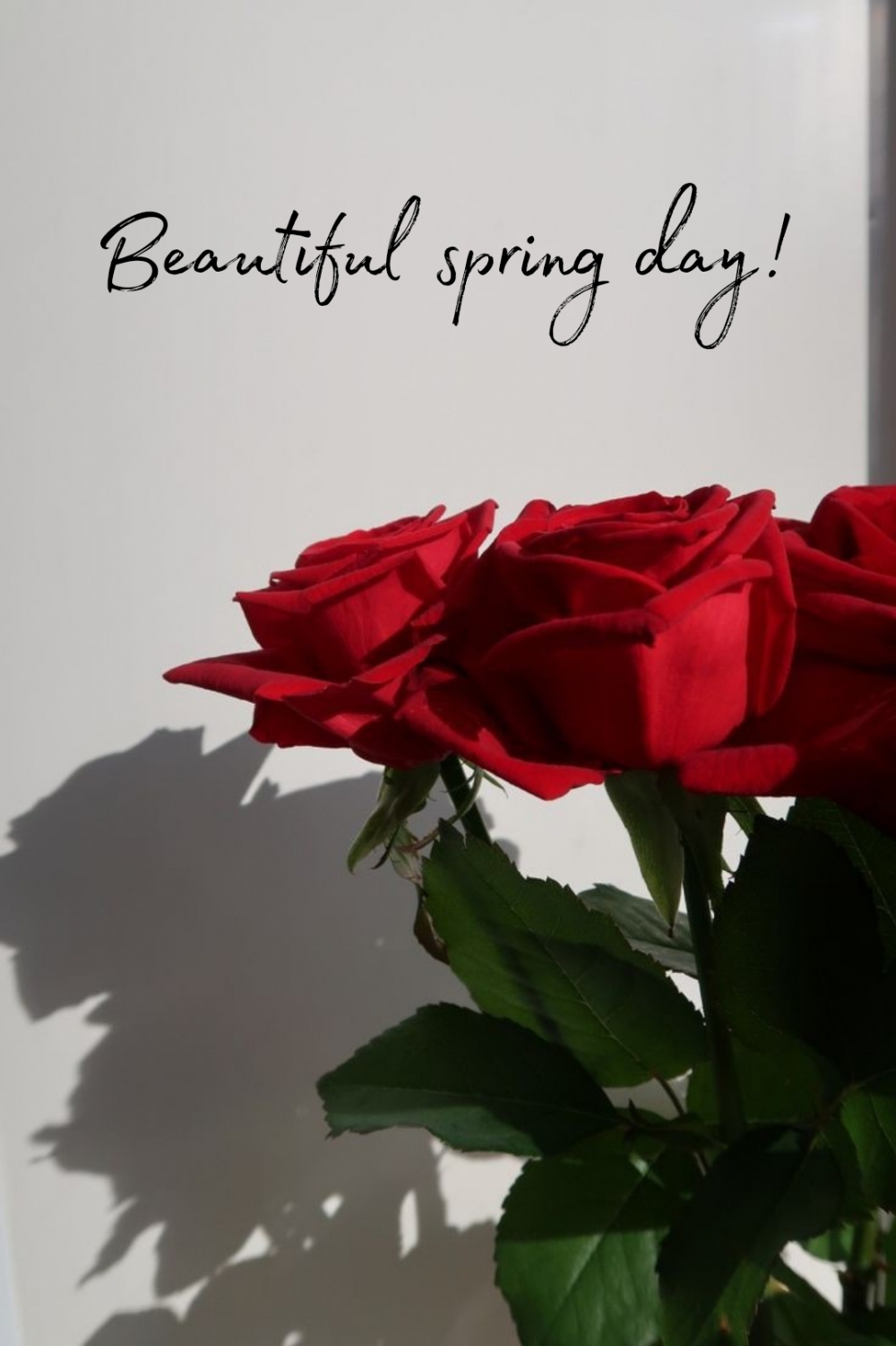 Pictures with names Good spring day Pictures with names Good spring day