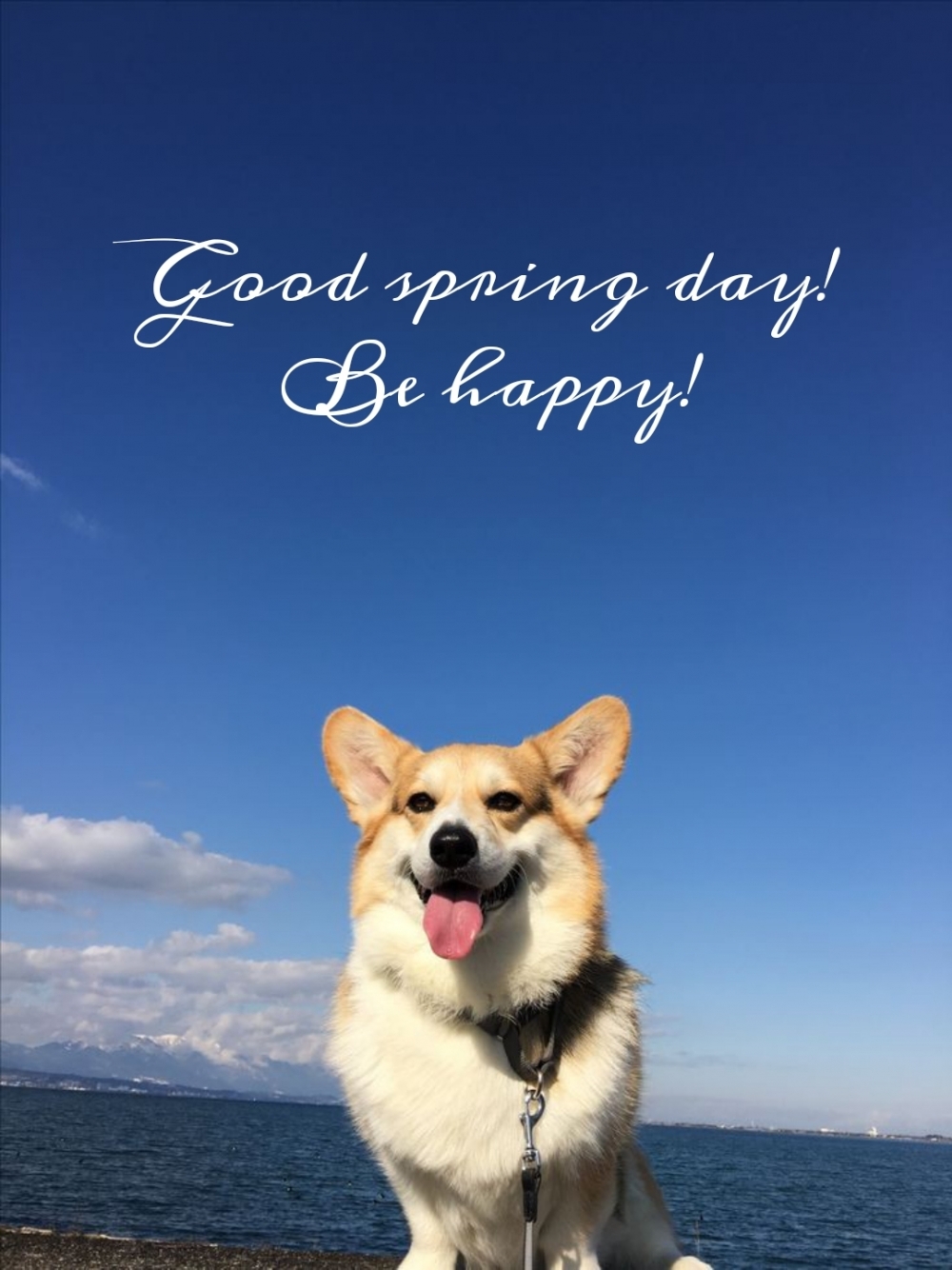 Pictures with names Good spring day Pictures with names Good spring day