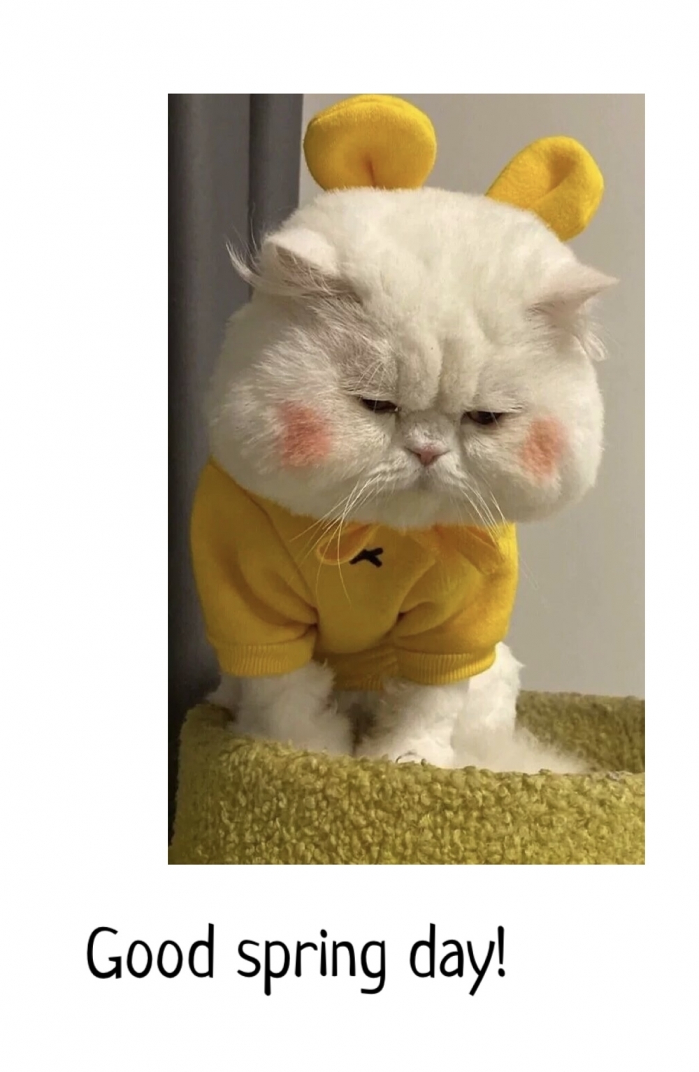 Pictures with names Good spring day Pictures with names Good spring day