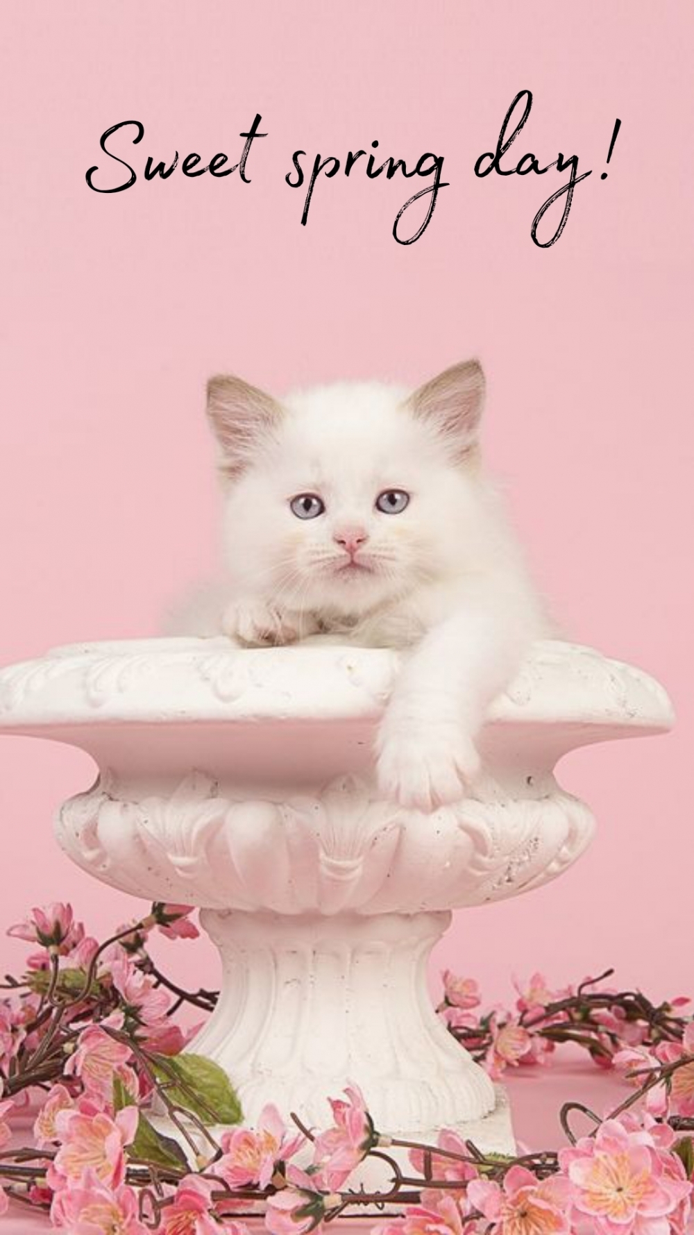 Pictures with names Good spring day Pictures with names Good spring day