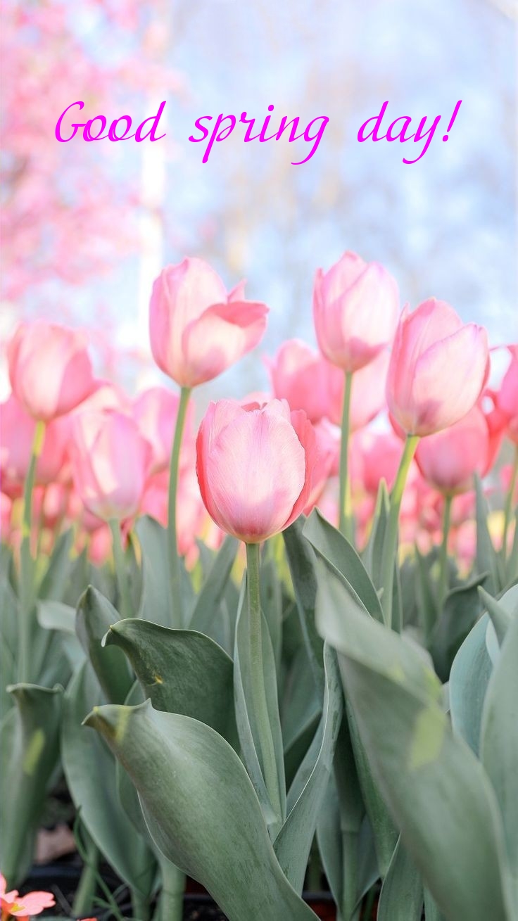 Pictures with names Good spring day Pictures with names Good spring day