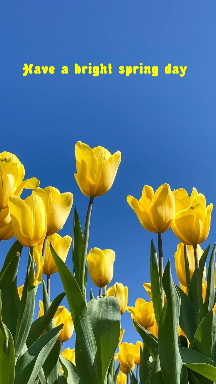 Pictures with names Good spring day Pictures with names Good spring day