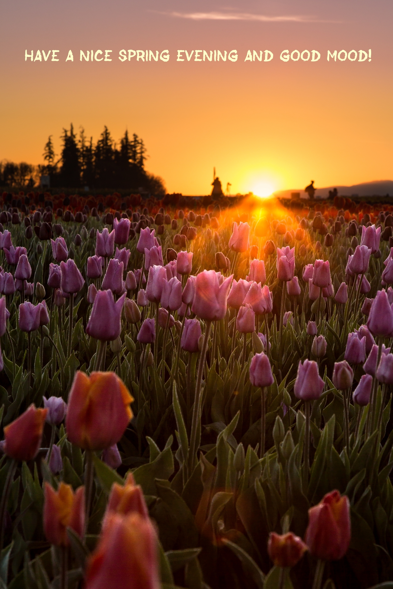 Pictures with names Good spring evening Pictures with names Good spring evening