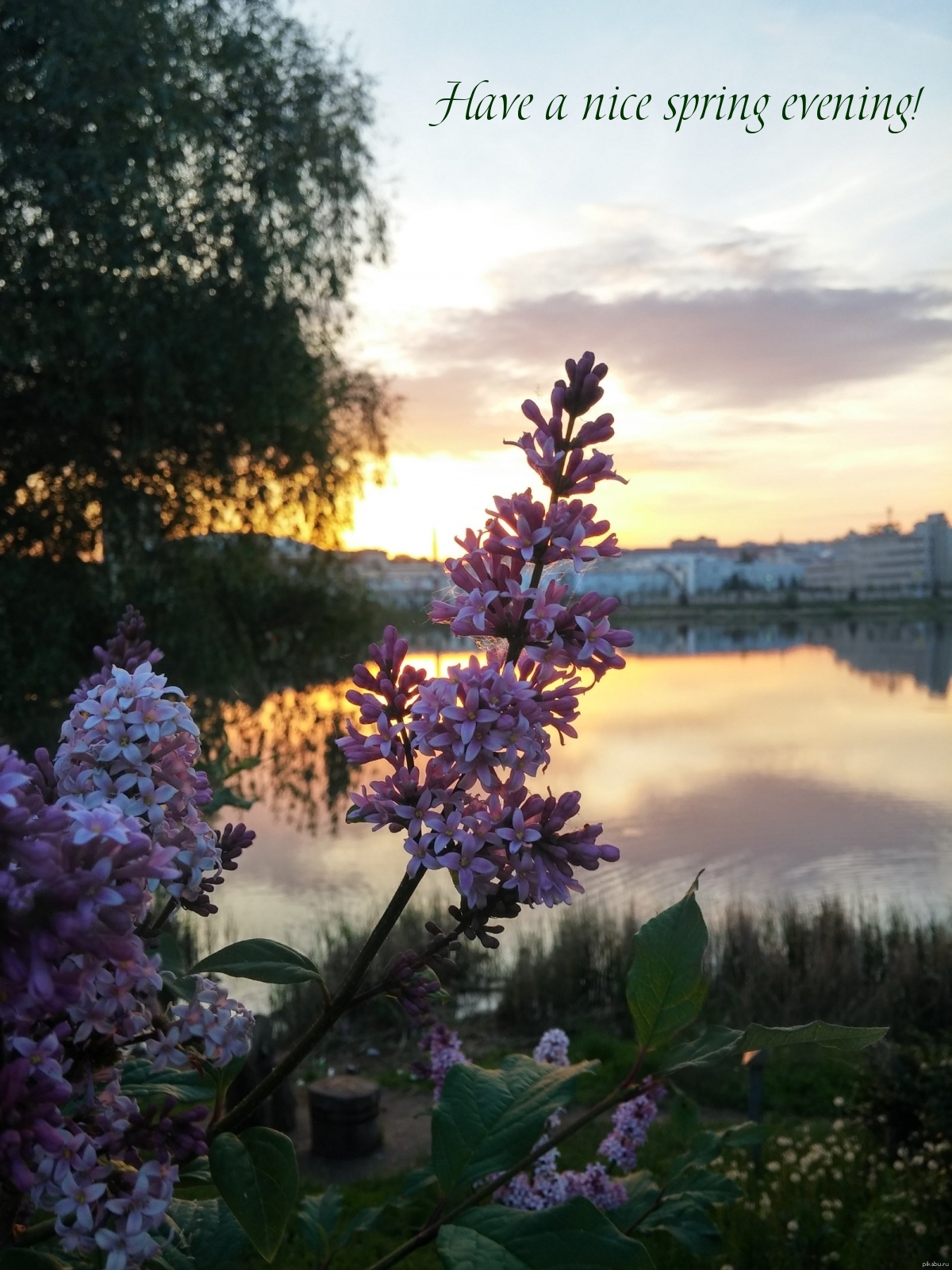Pictures with names Good spring evening Pictures with names Good spring evening